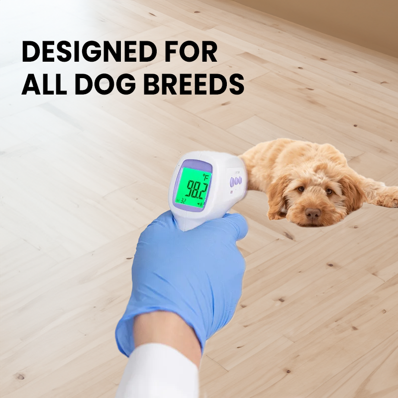 No-Contact Dog Thermometer with One Click Reading