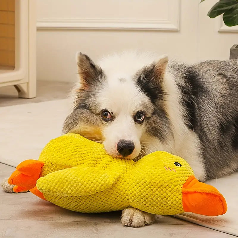 Calming Durable Duck