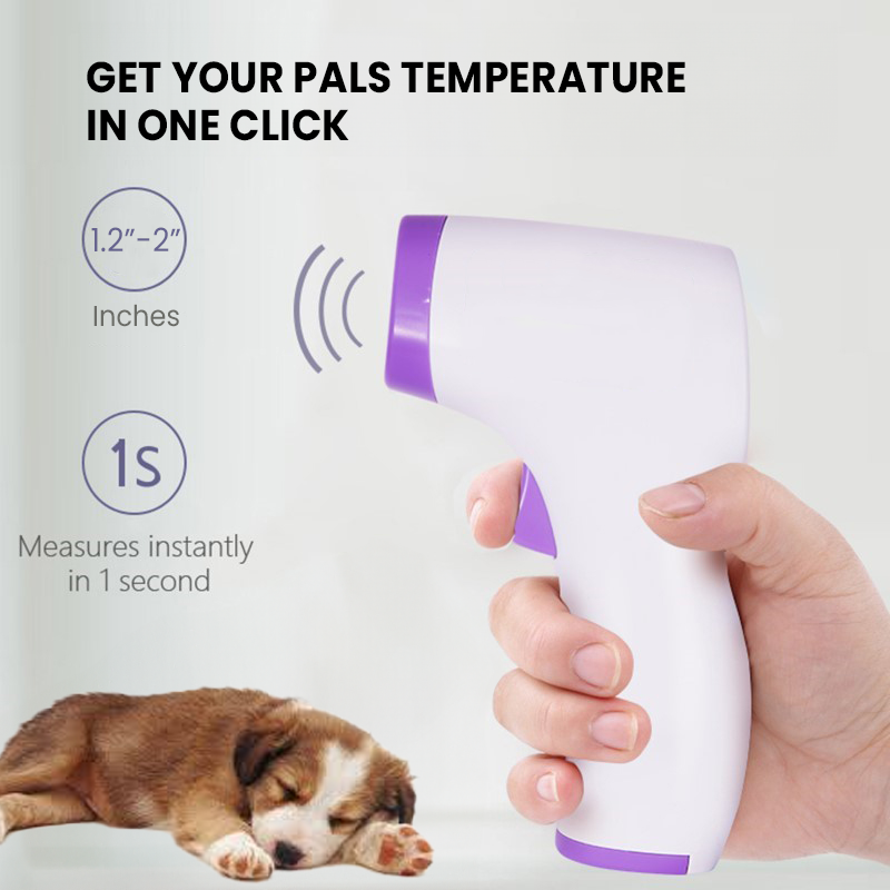 No-Contact Dog Thermometer with One Click Reading