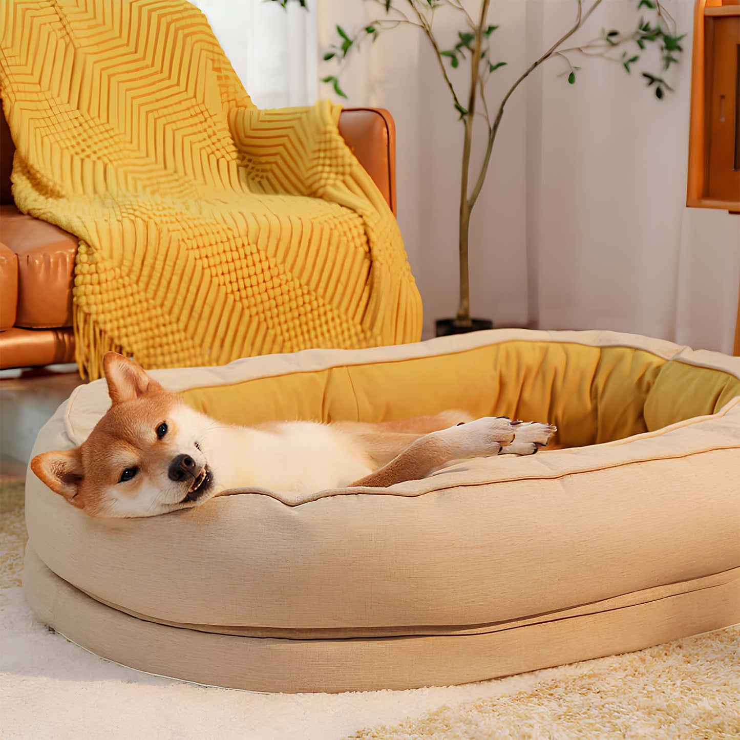 All-Season Donut Oval Dog & Cat Bed