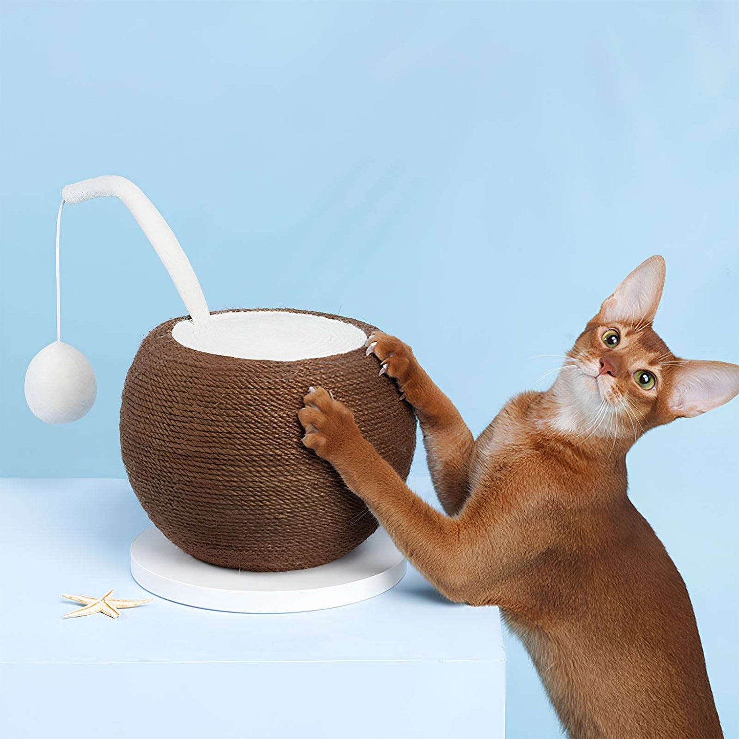 Coconut Cat Scratching Board Claw Sharpeners