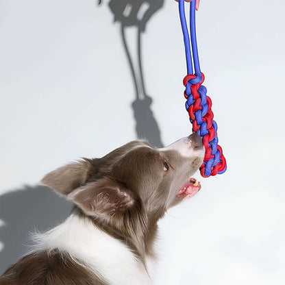 Color Clash Braided Rope Stick Tug Dog Toy