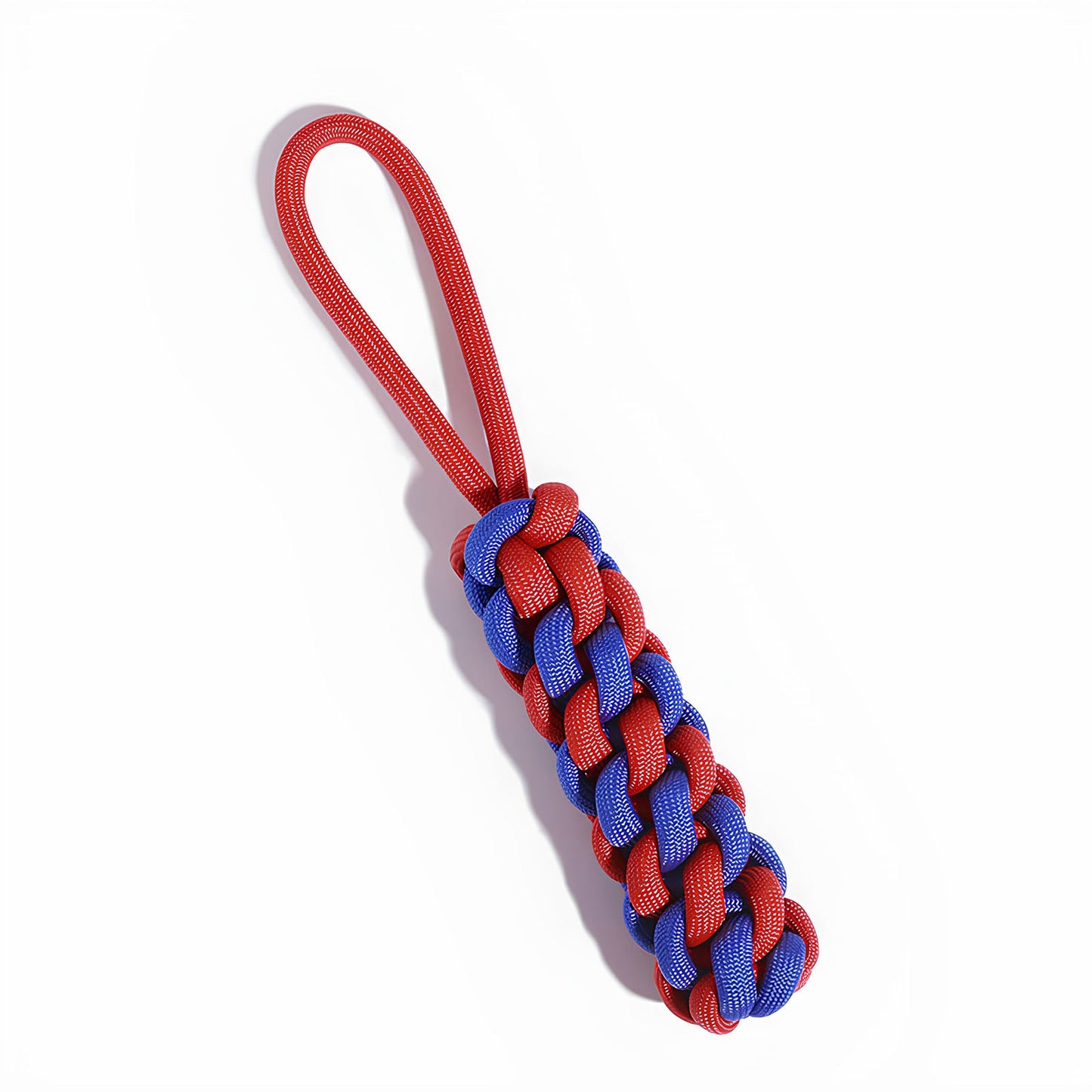 Color Clash Braided Rope Stick Tug Dog Toy