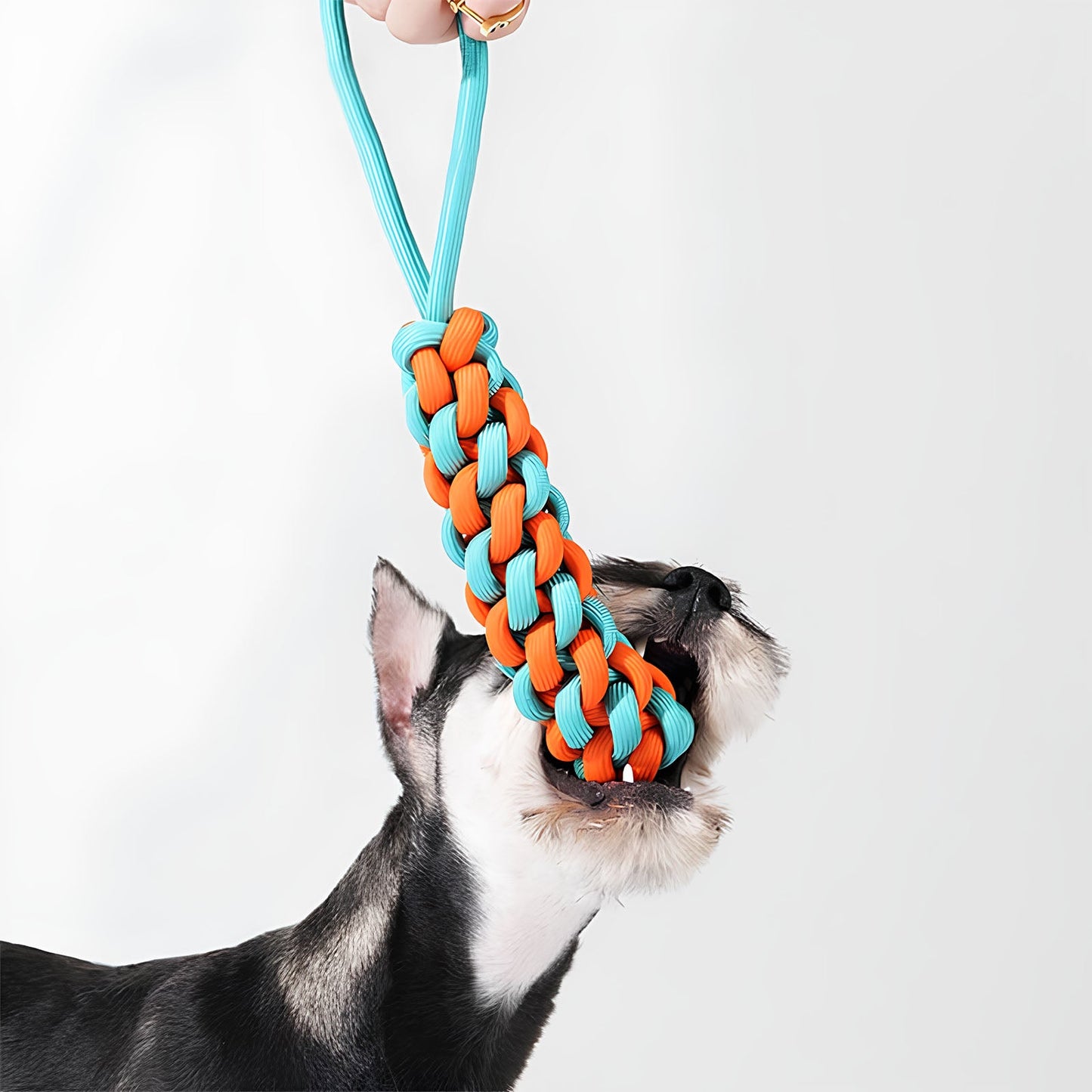 Color Clash Braided Rope Stick Tug Dog Toy