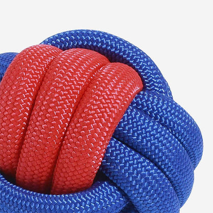 Color Clash Knots Rope Dog Toy Collection