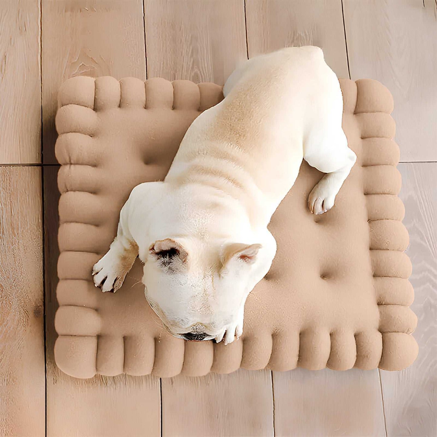 Cozy Biscuit-Shaped Plush Small Dog Bed