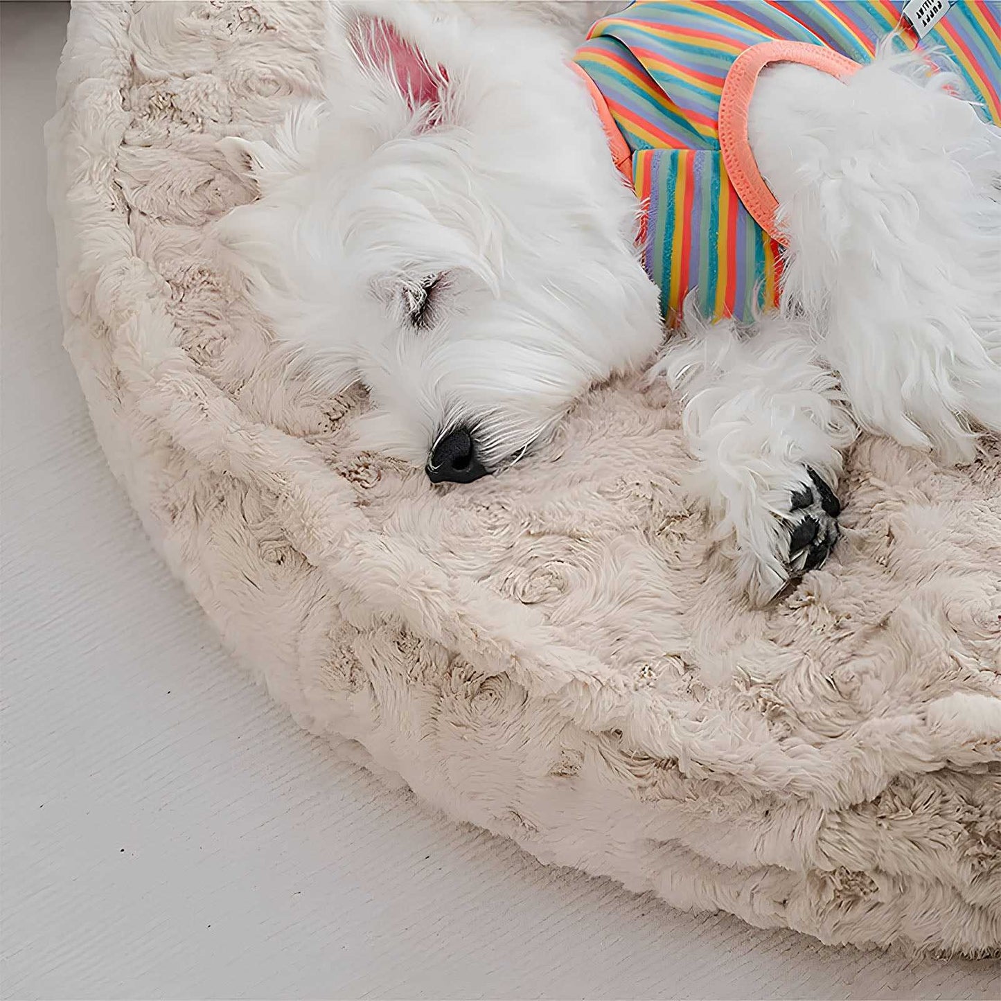 Cozy Bone Cloud Dog Bed Soothing Warmth