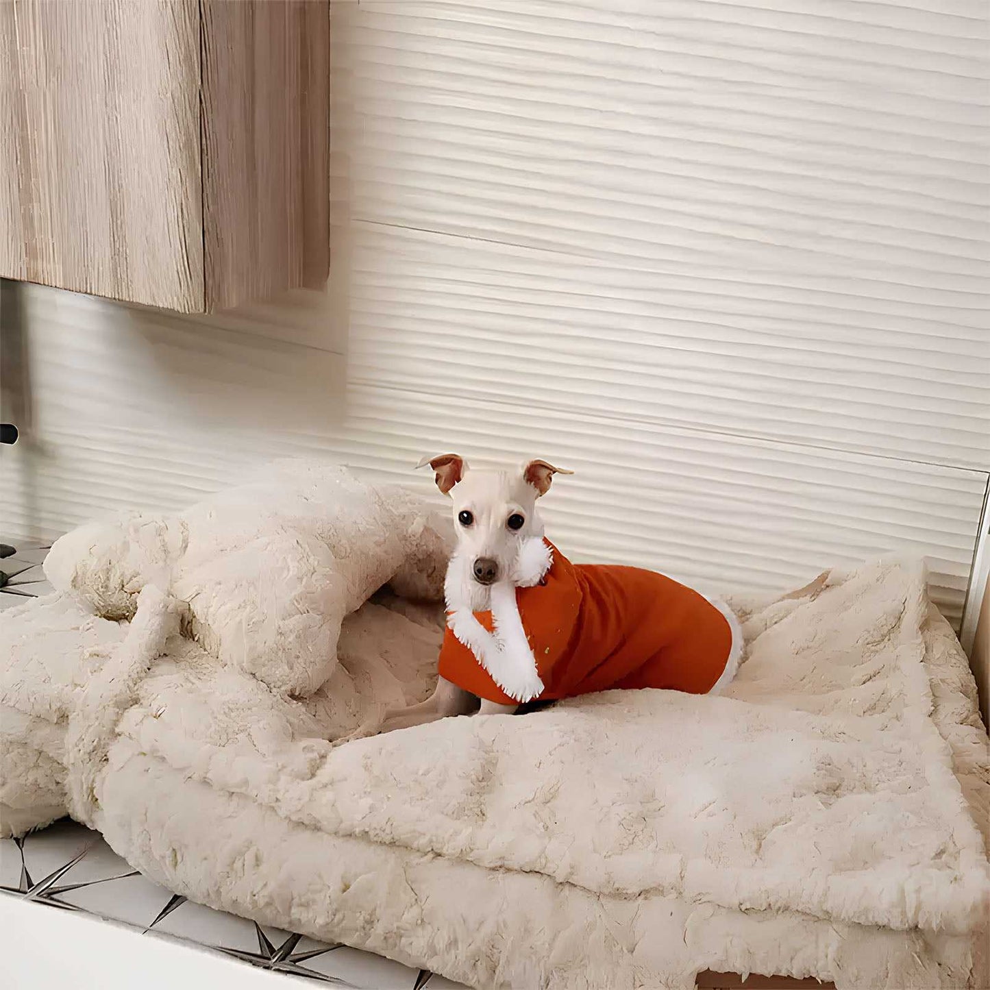 Cozy Bone Cloud Dog Bed Soothing Warmth