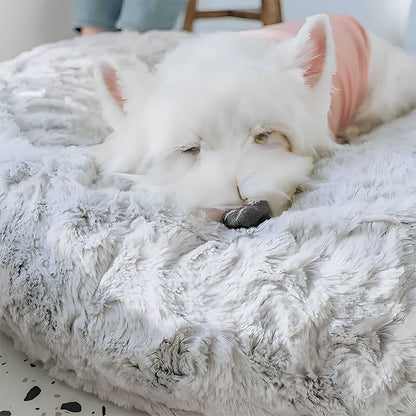 Cozy Bone Cloud Dog Bed Soothing Warmth