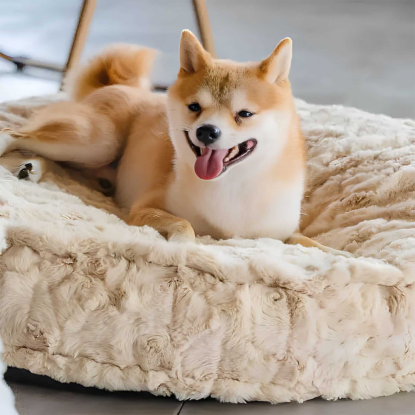 Cozy Bone Cloud Dog Bed Soothing Warmth