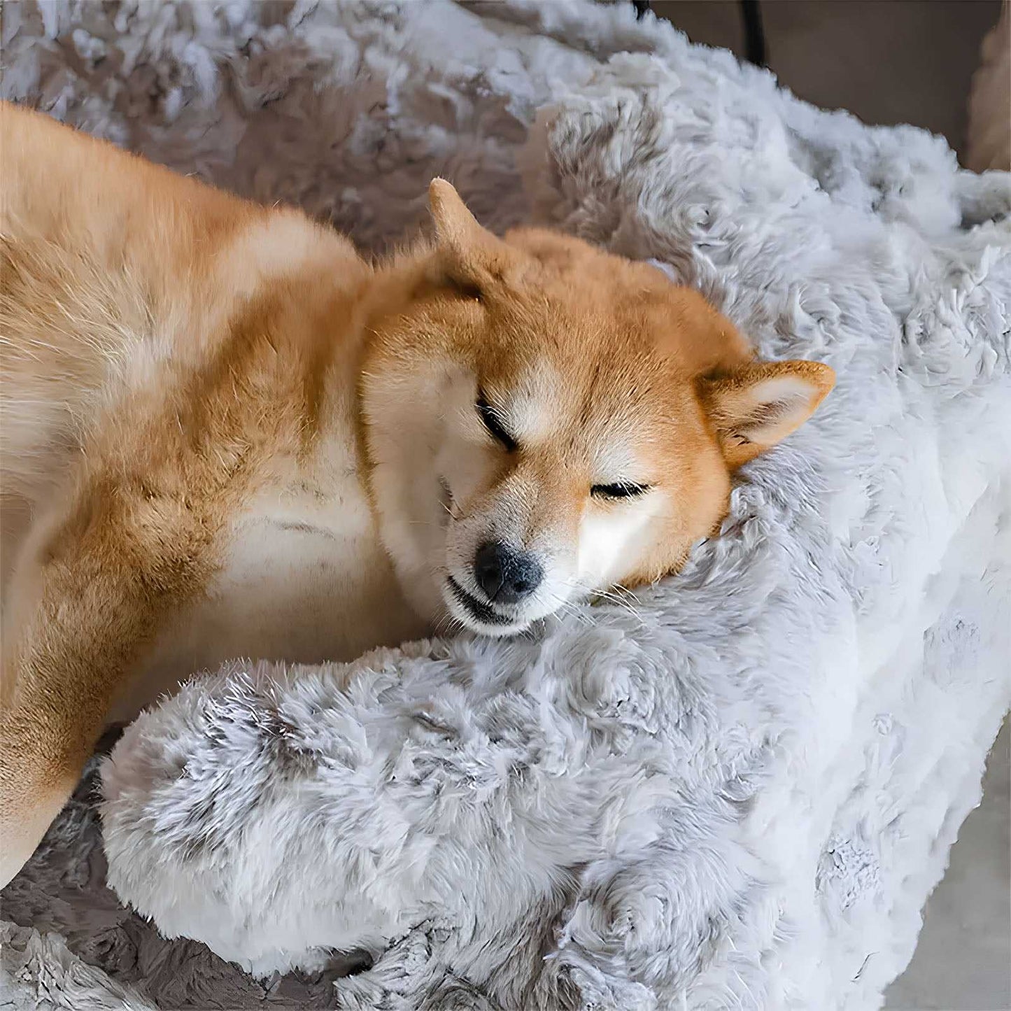 Cozy Bone Cloud Dog Bed Soothing Warmth