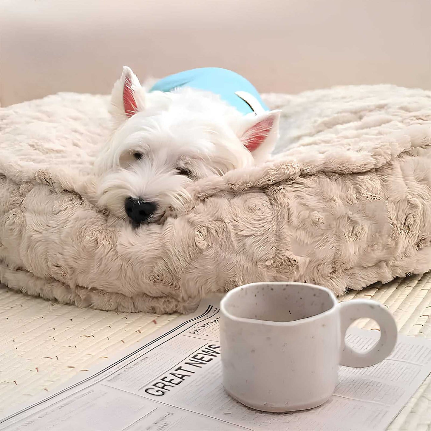 Cozy Bone Cloud Dog Bed Soothing Warmth