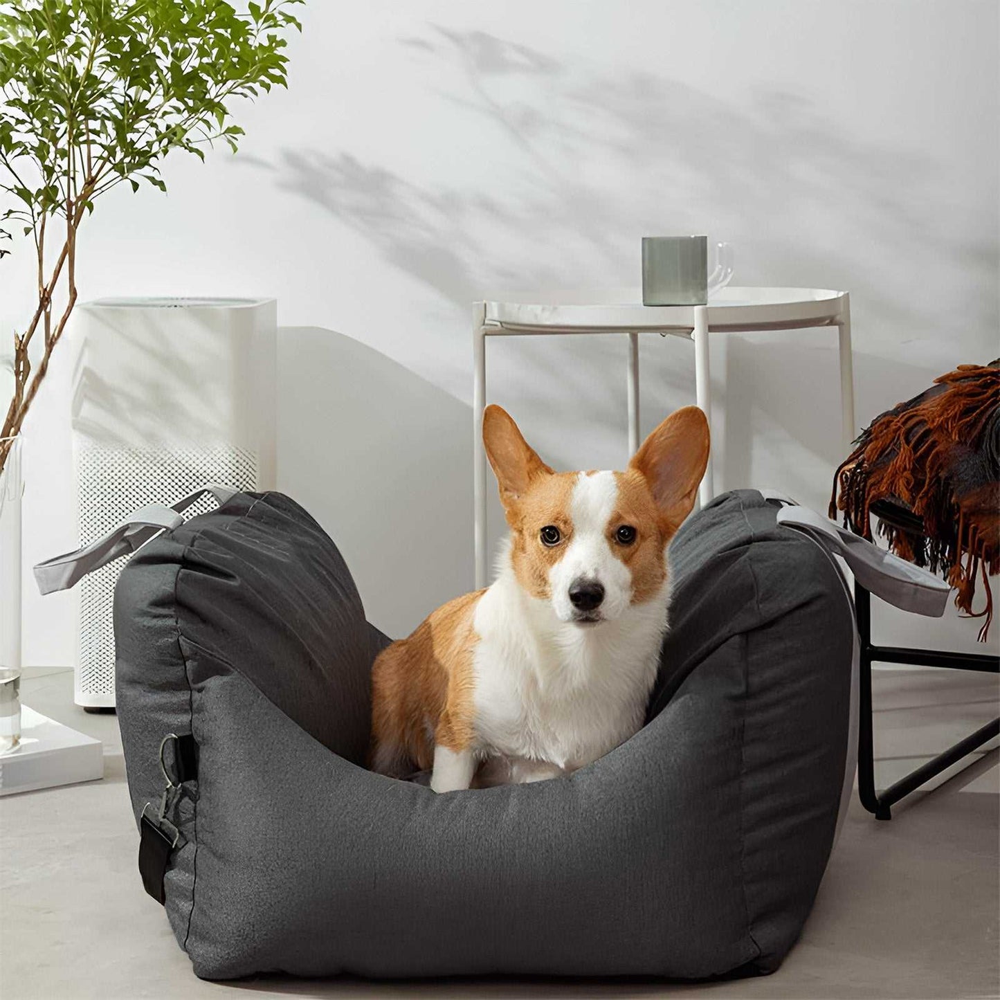 Elite Dog Car Bed Ultimate Comfort for Travel