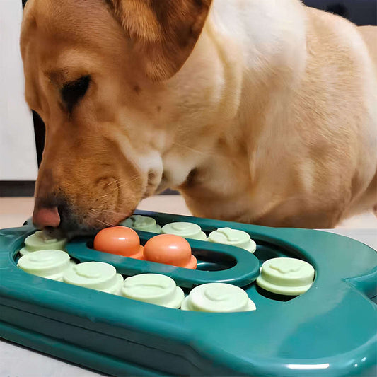 Interactive Foraging Slide Engaging Fun Tray