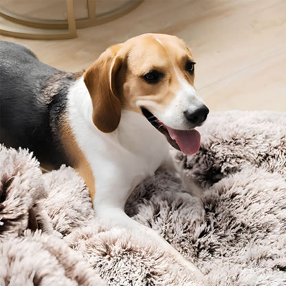 Large Fuzzy Paw Dog Bed Soft & Spacious