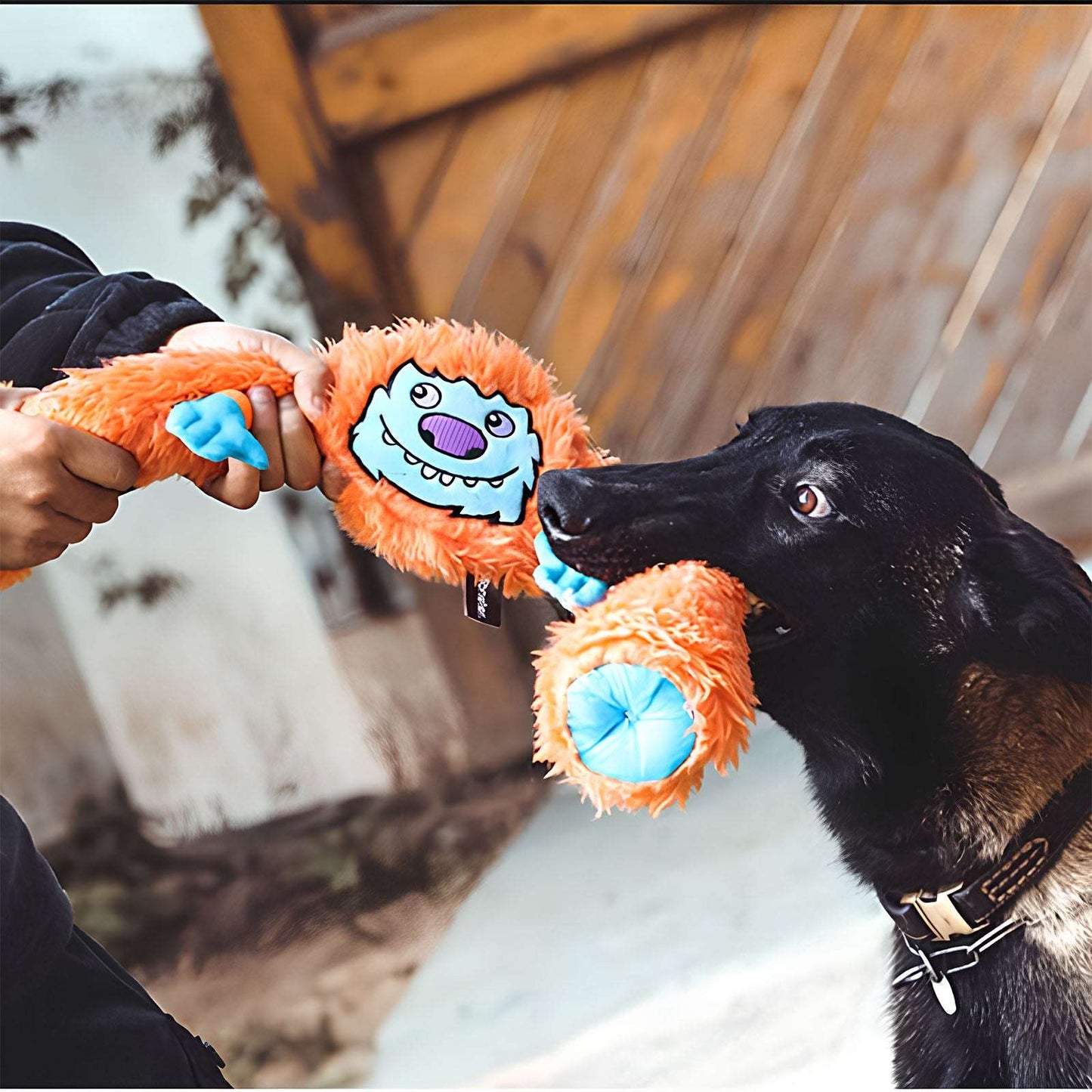 Longfoot Plush Sound-Producing Interactive Dog Toy