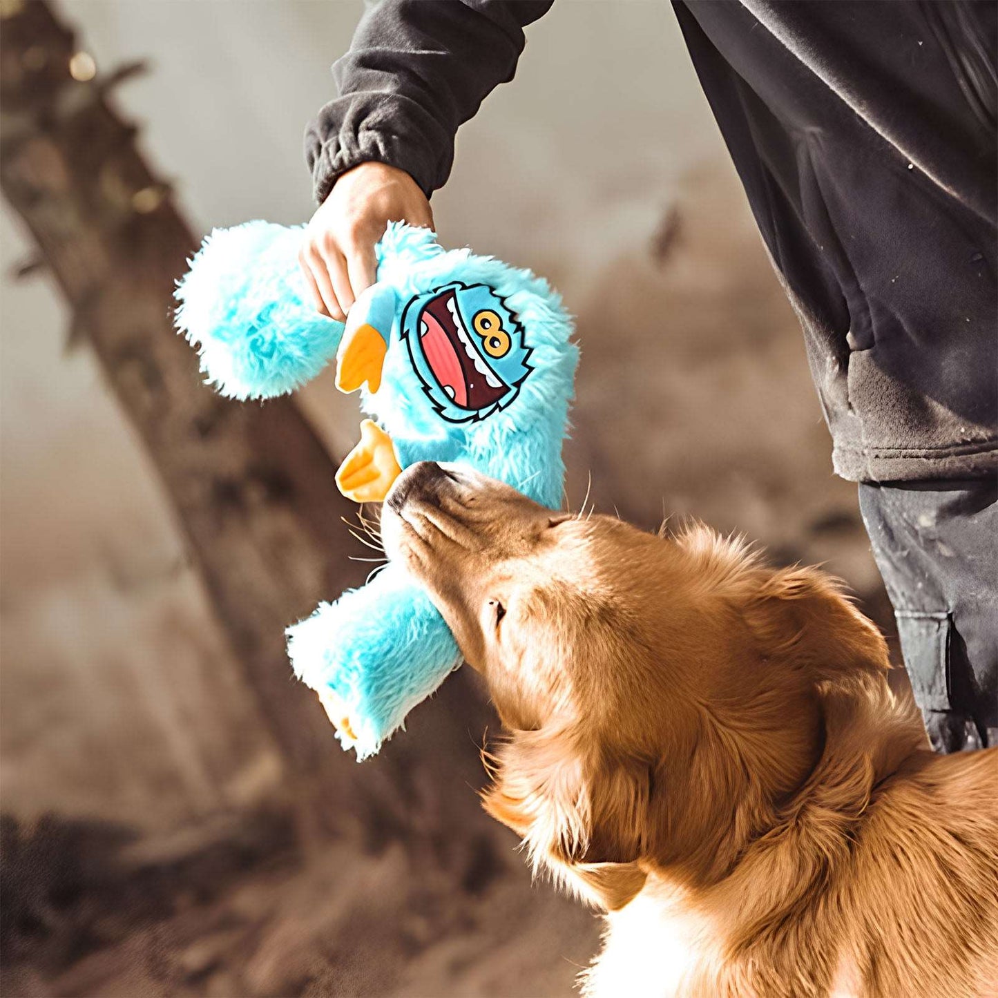 Longfoot Plush Sound-Producing Interactive Dog Toy