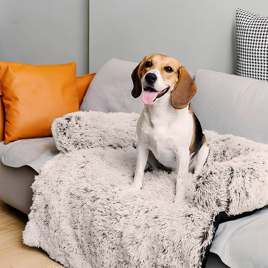 Luxury Plush Backrest Pet Sofa Bed