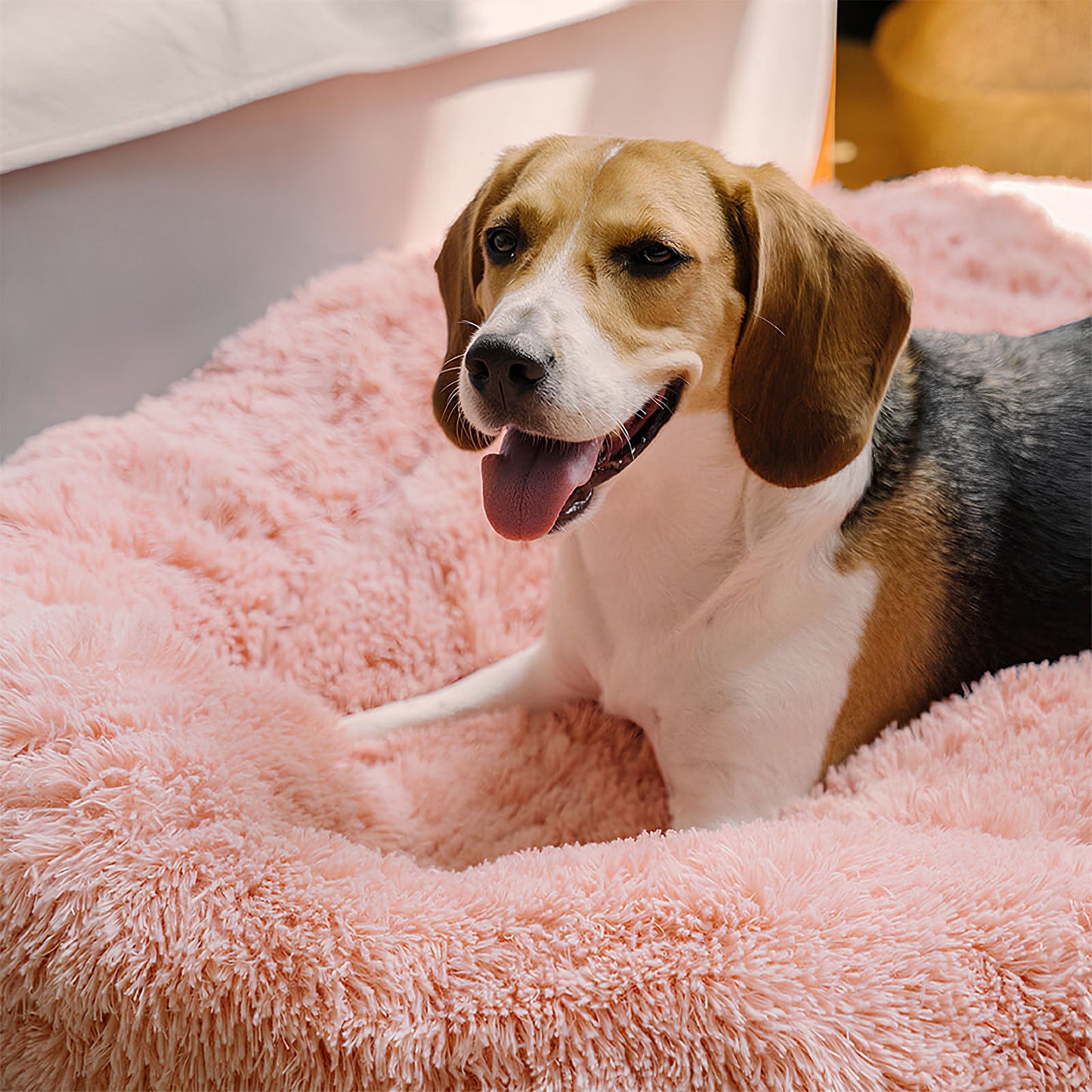 Luxury Round & Fluffy Dog Bed for Ultimate Comfort