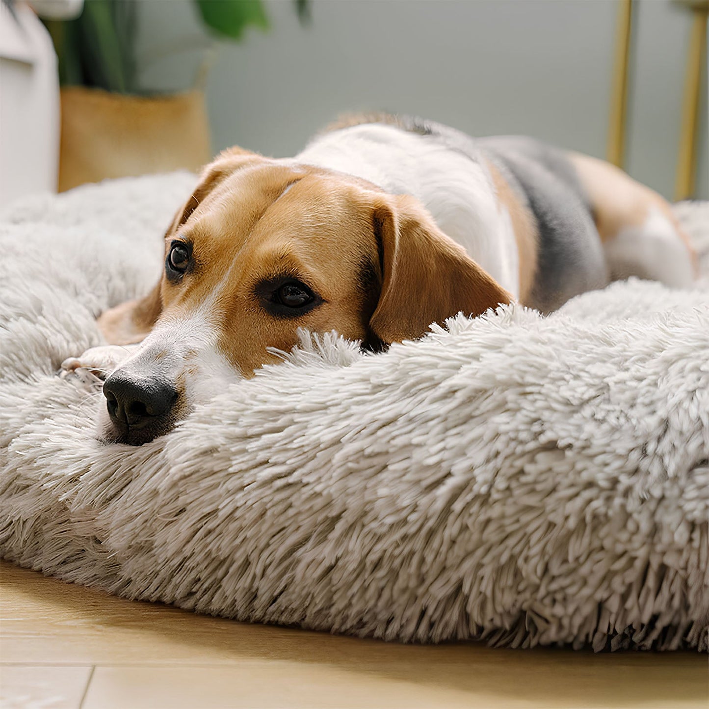 Luxury Round & Fluffy Dog Bed for Ultimate Comfort