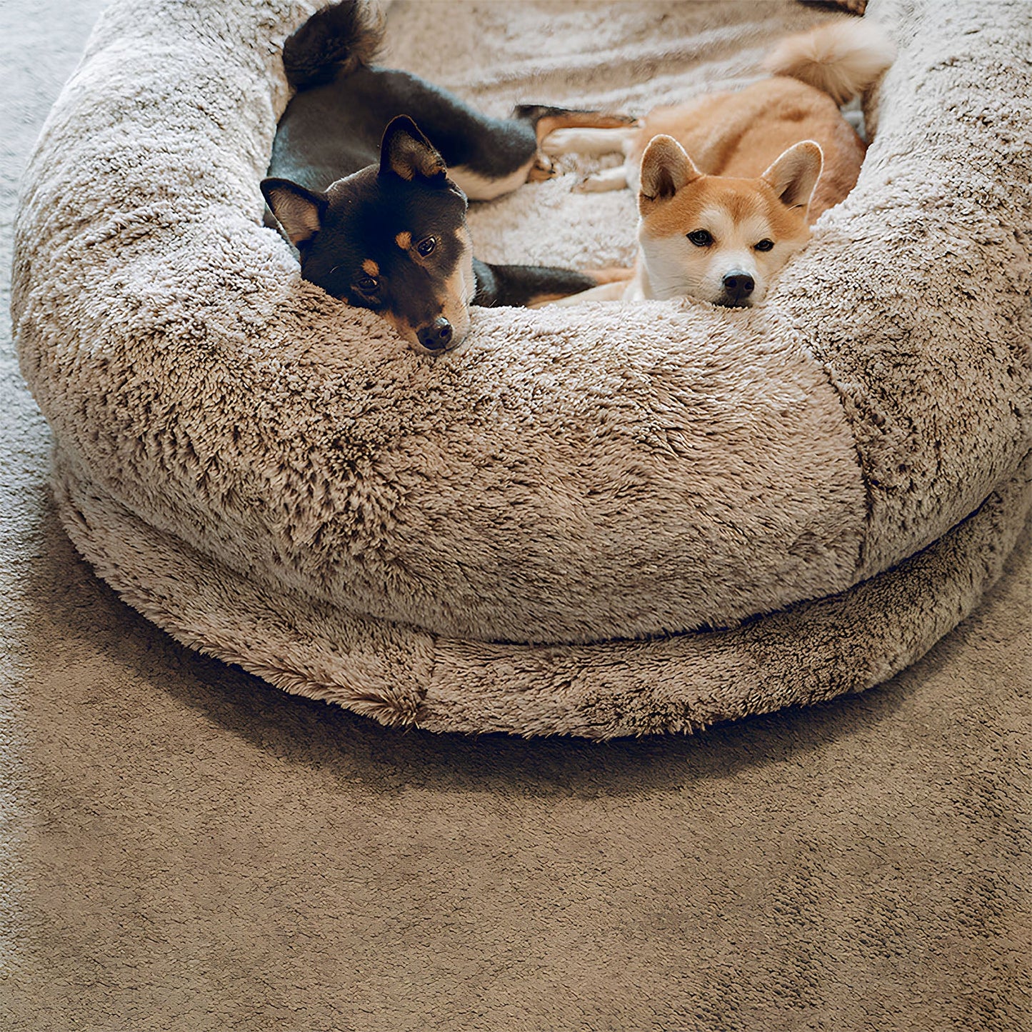 Luxury Super-Sized Human Dog Bed