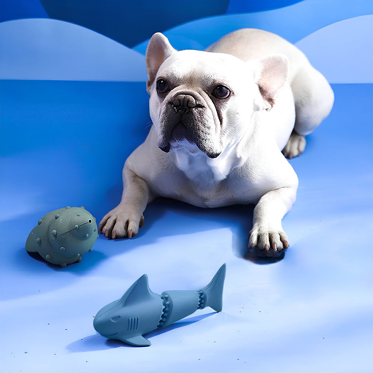 Ocean Set Interactive Treat Dispensing Dog Toys