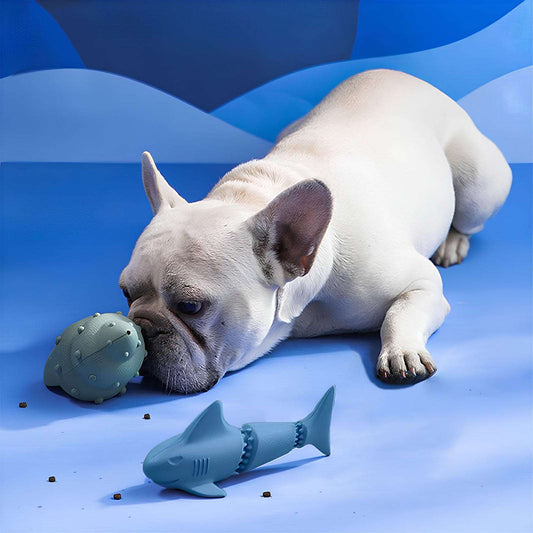 Ocean Set Interactive Treat Dispensing Dog Toys