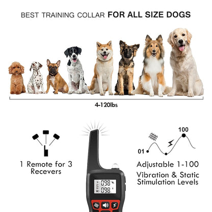 PaiPaitek Dog Training Collar with 3 Training Modes