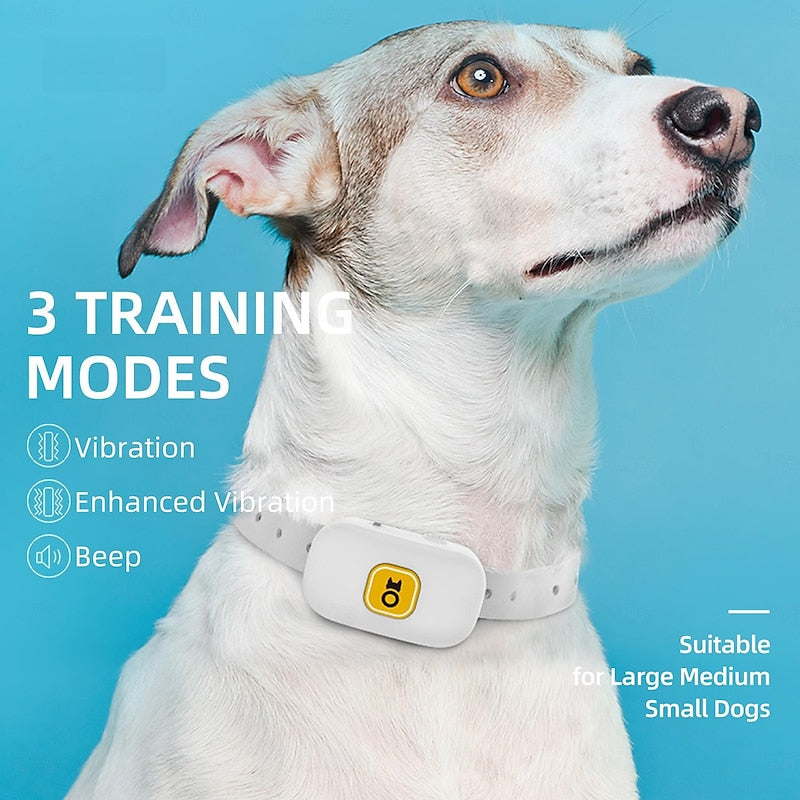 365 Metres Dog Training Collar with Remote – Beep and Vibration, No Shock