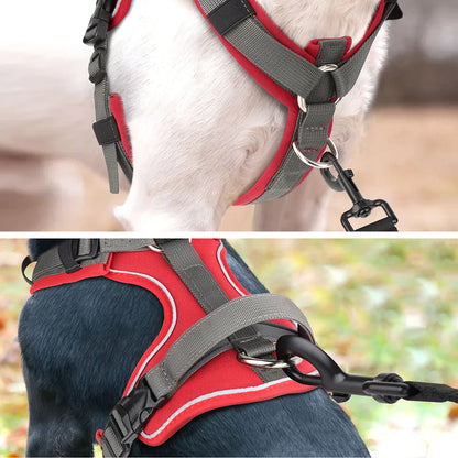 Pawfey Agile Dog Harness with Reflective Design and Strong Handle