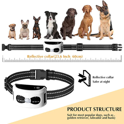 2-in-1 Wireless Dog Fence & Outdoor Training Collar - 9 Meters to 244 Meters Radius