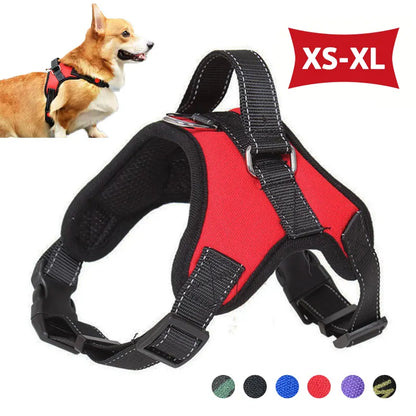 Pawfey Durable Reflective Dog Harness