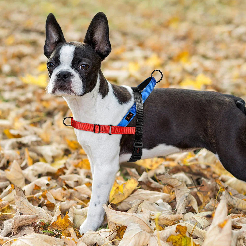 Dog Harness - Soft Nylon Reflective Fit