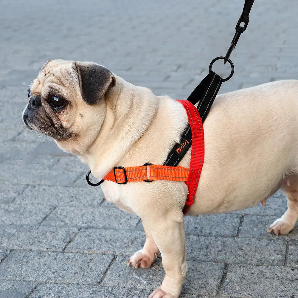 Dog Harness - Soft Nylon Reflective Fit