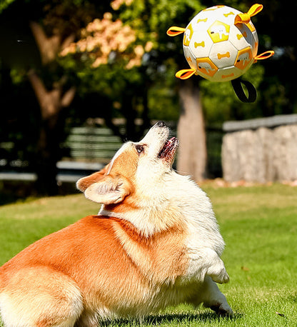 Interactive Dog Soccer Ball Toy with Free Air Pump