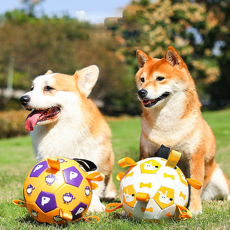 Interactive Dog Soccer Ball Toy with Free Air Pump