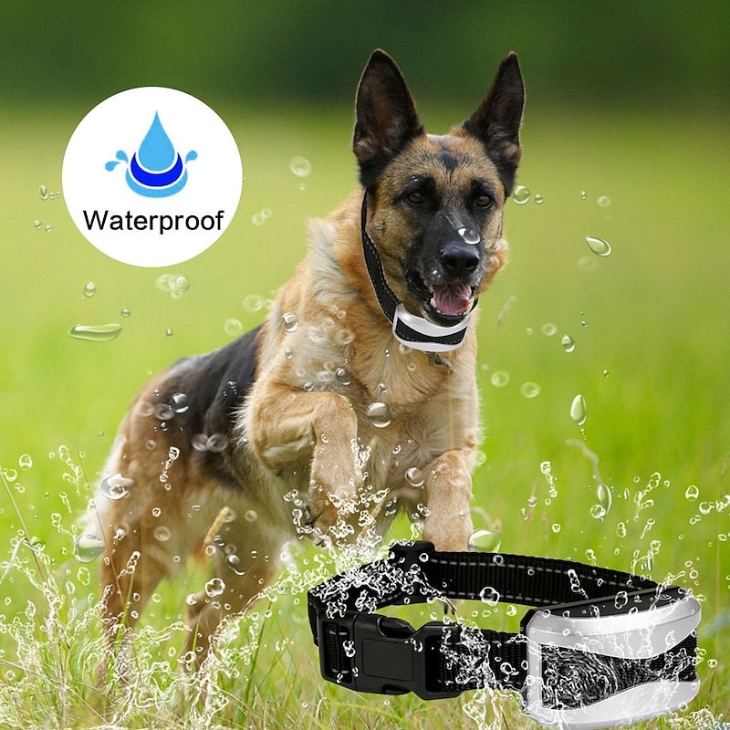 Advanced Remote Control Dog Training Collar - Waterproof &amp; Rechargeable