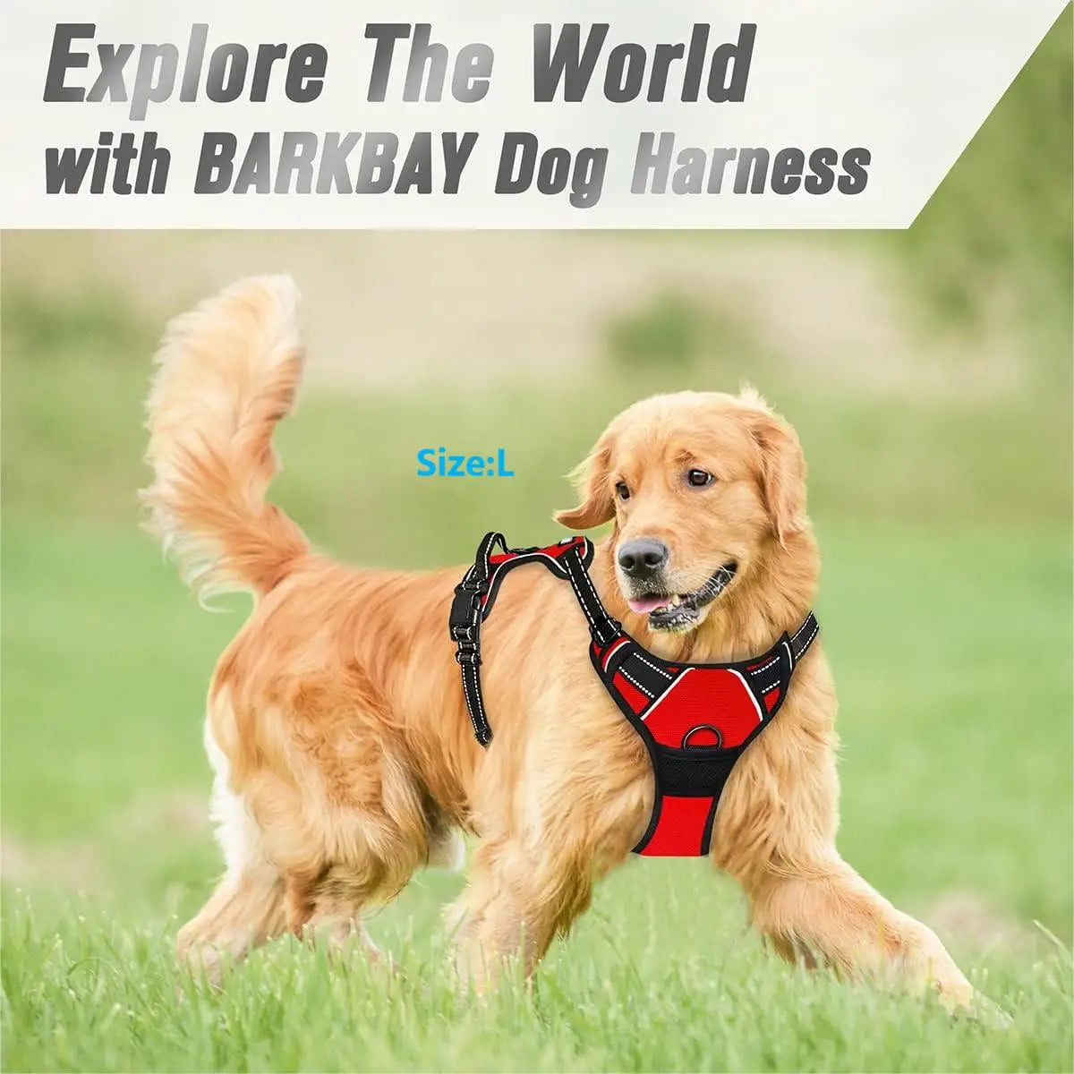 Heavy Duty No-Pull Dog Harness