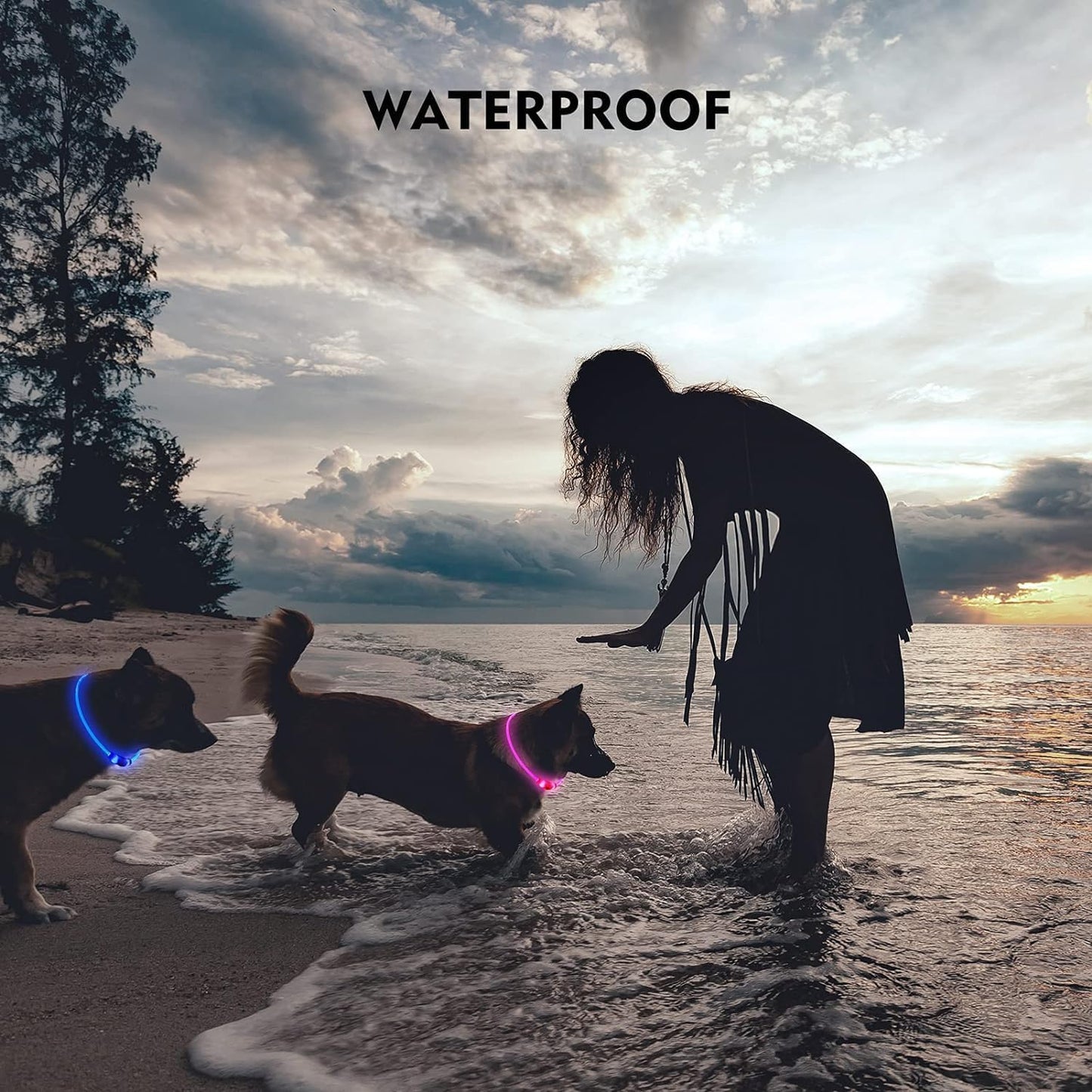 LED Dog Collar, Light Up Dog Collars, Rechargeable Dog Lights for Night Walking