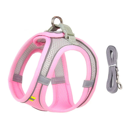 Soft Mesh Dog Harness with Free Leash