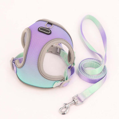 Reflective Mesh Dog Harness with Leash Set