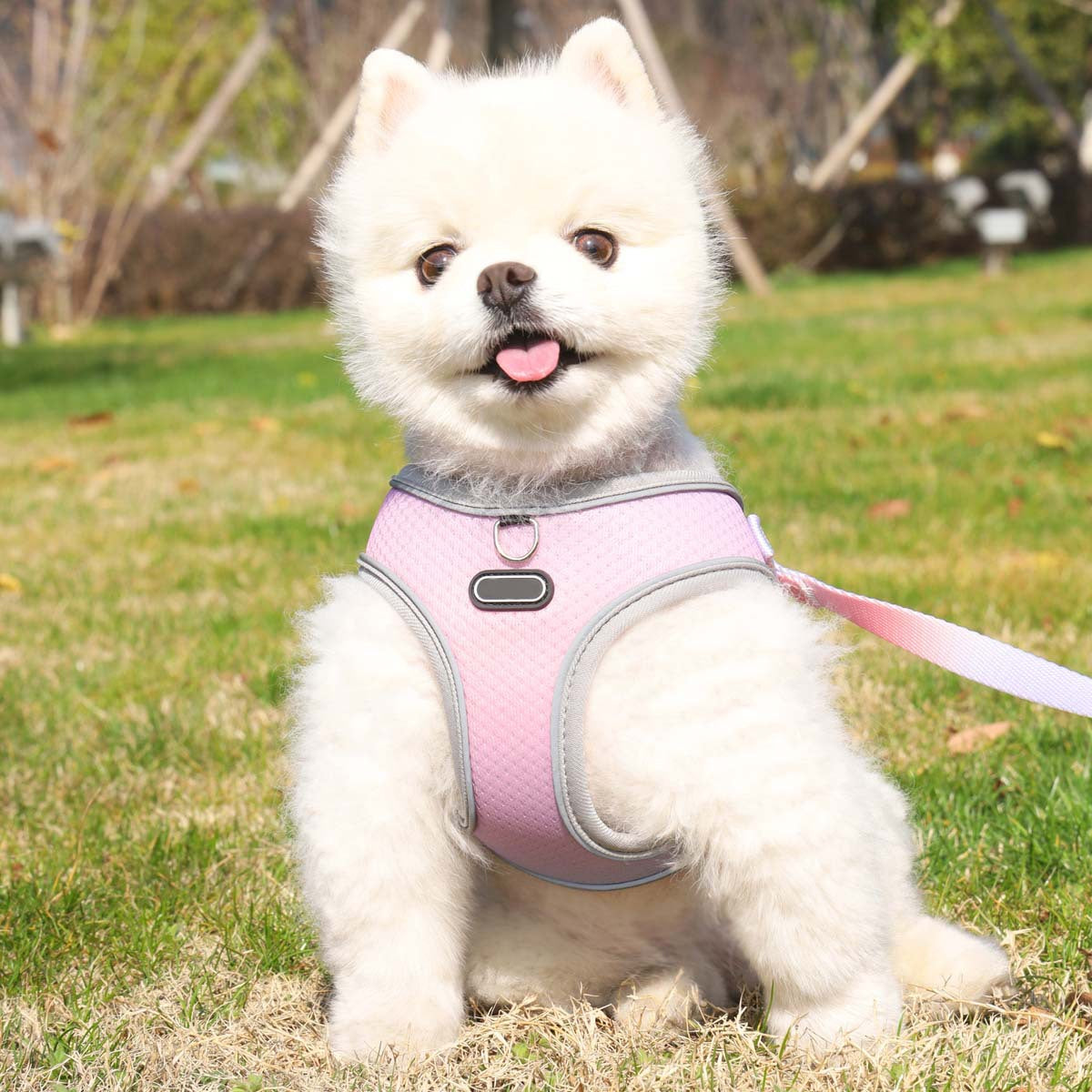 Reflective Mesh Dog Harness with Leash Set