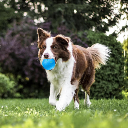 Smart Interactive LED Pet Toy Ball