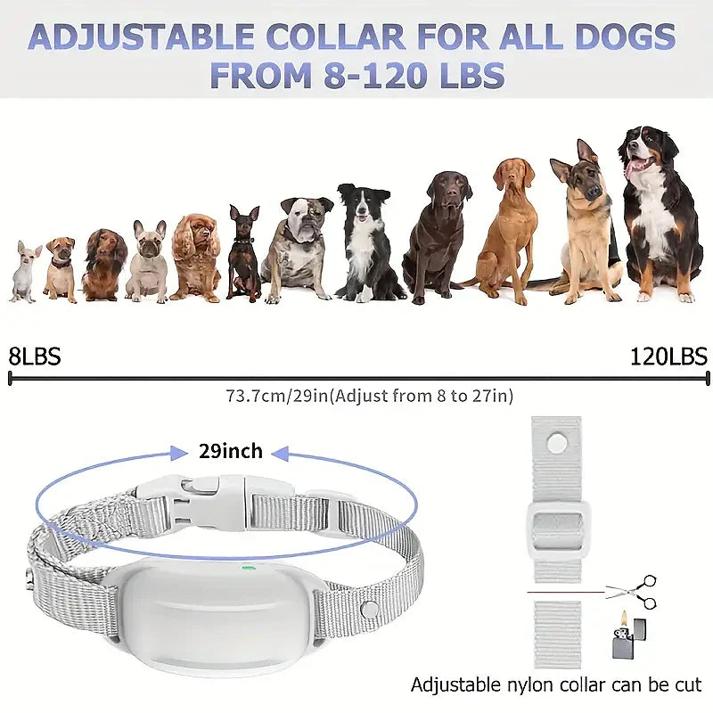 Pawfey Smart Pro Dog Training Collar with Remote Control