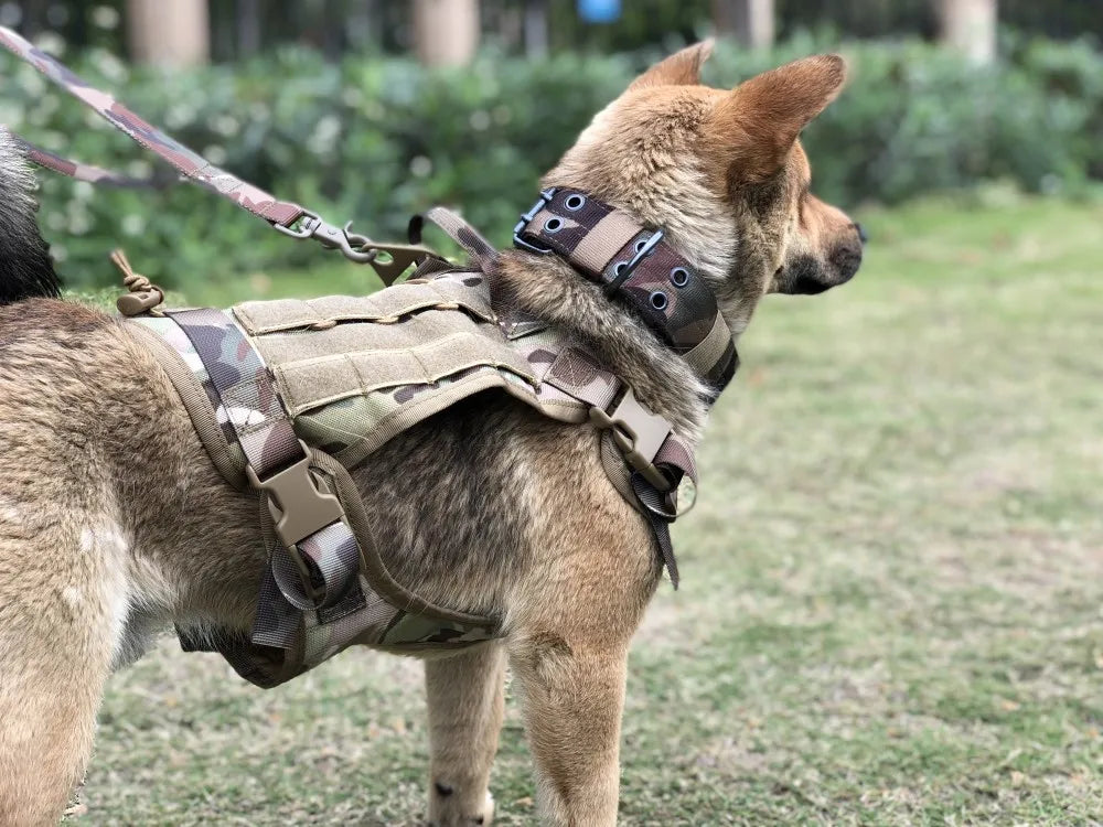 Tactical Dog Harness and Training Gear Set