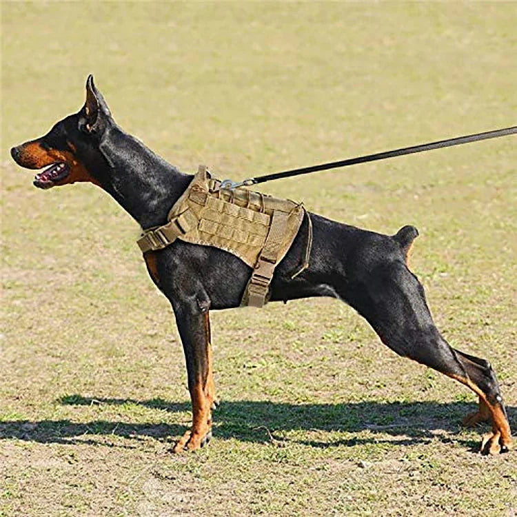 Pawfey Tactical Dog Harness with MOLLE System