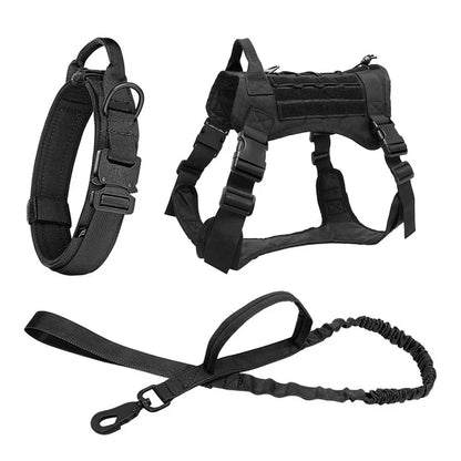 Tactical Dog Harness and Training Gear Set