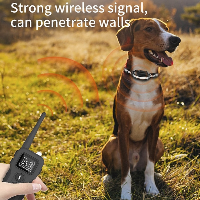 Pawfey Wireless Dog Training Collar