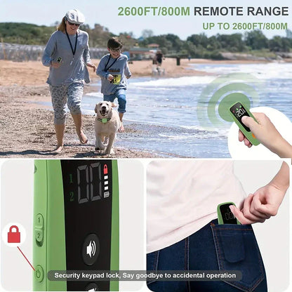 Pet Dog Electric, Beep and Vibration Training Collar with Waterproof Receiver