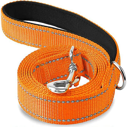 Reflective Dog Leash with Strengthened Clasp